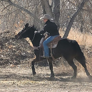 Meet your Posher, Cinco